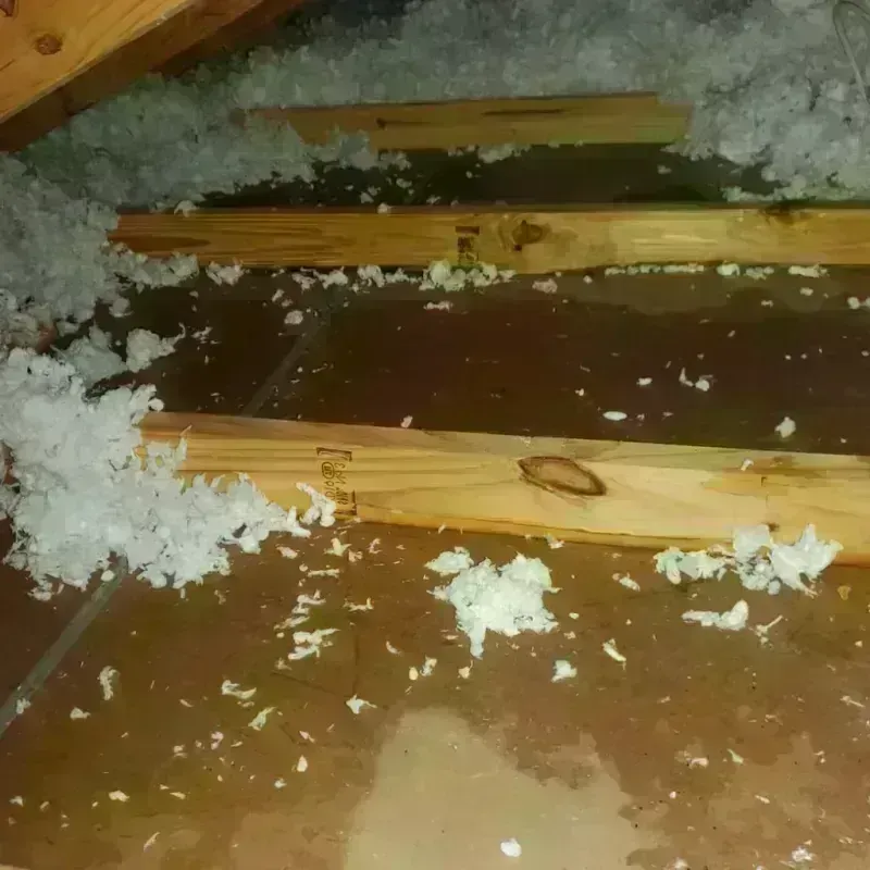 Attic Water Damage in Oakhurst, CA