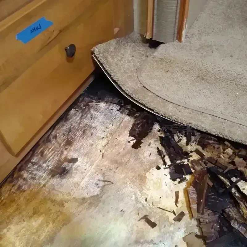 Wood Floor Water Damage in Oakhurst, CA